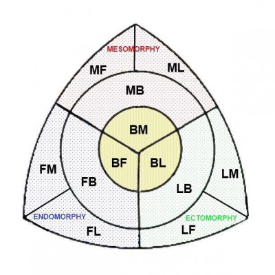 Somatotype Chart