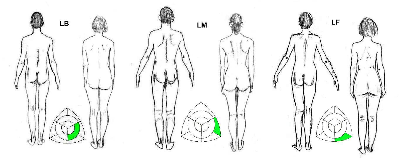 Female Body Shape Chart