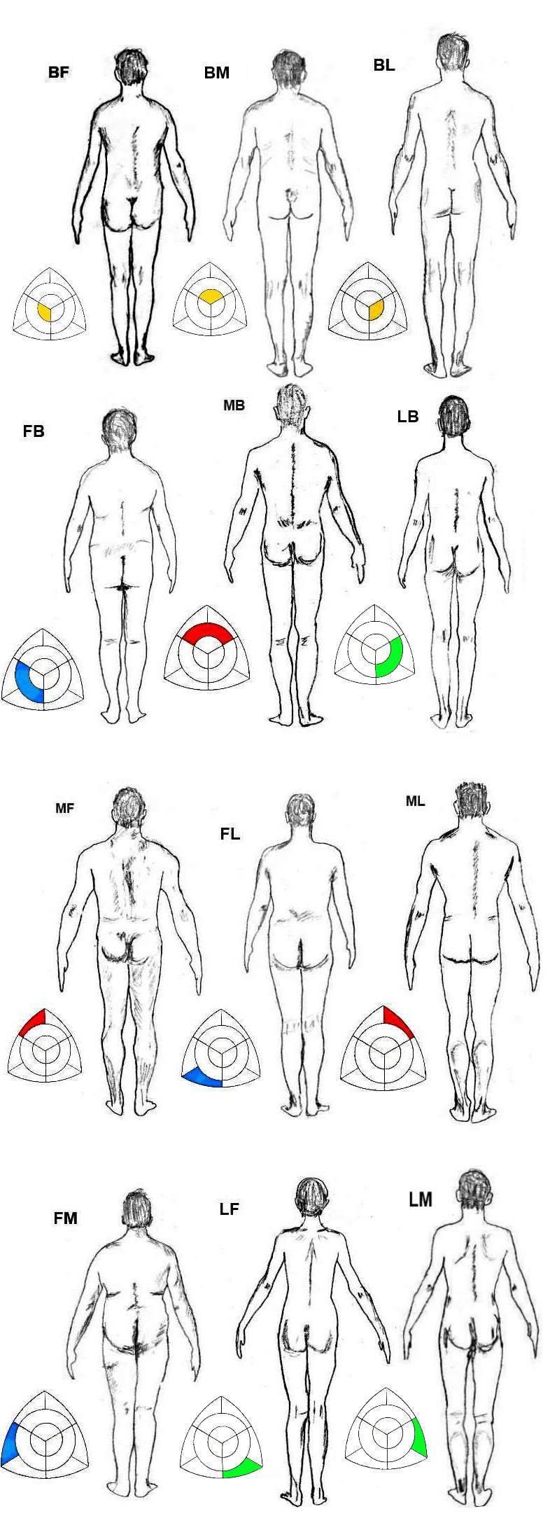 Body Type Measurements Chart