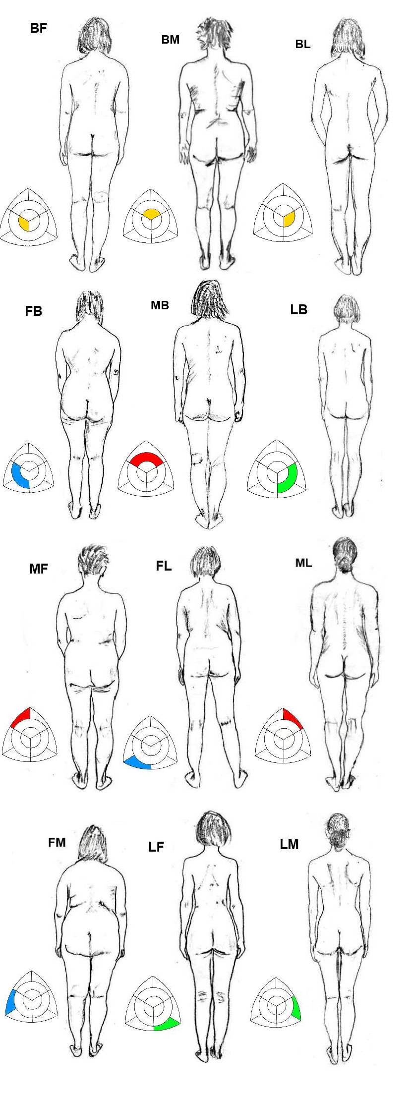 Different Body Types Chart