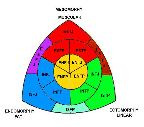 Types mbti Job Compatibility